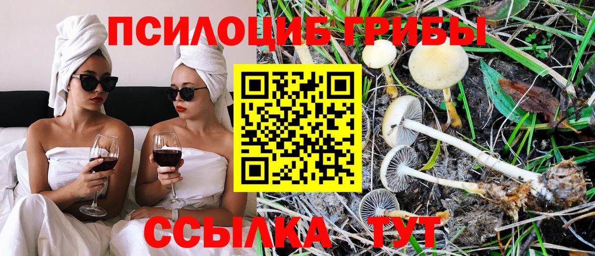 Псилоцибиновые грибы MAGIC MUSHROOMS  Вход с VPN  закладки  Псилоцибиновые грибы Magic Shrooms  Бугуруслан 